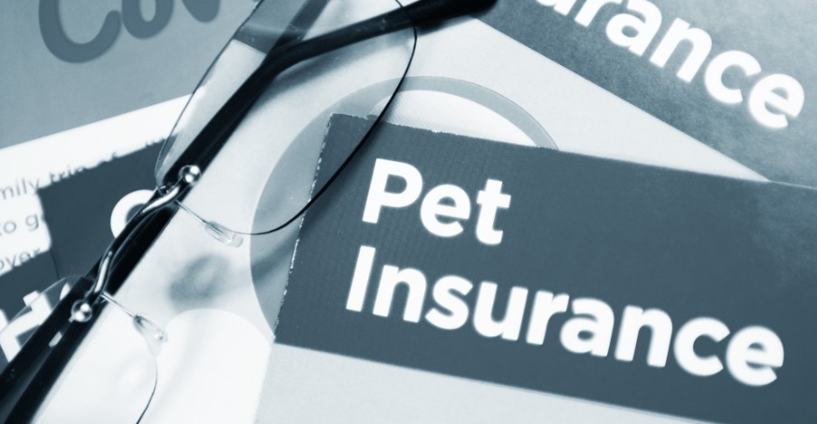 Best-Pet-Insurance-Companies-for-June-2024.jpg