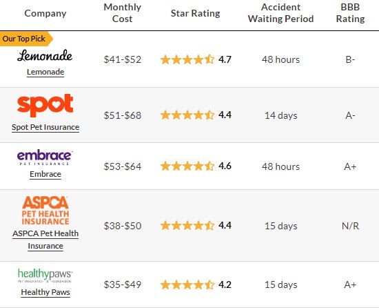 Compare The Best Pet Insurance Companies in Oregon