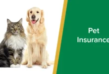 Pet-Insurance-Unleashed_A-Paw-sitive-Guide-to-Coverage-and-Costs_.webp