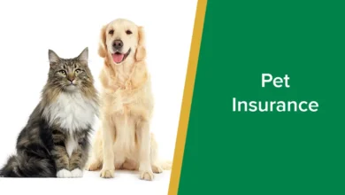 Pet-Insurance-Unleashed_A-Paw-sitive-Guide-to-Coverage-and-Costs_.webp