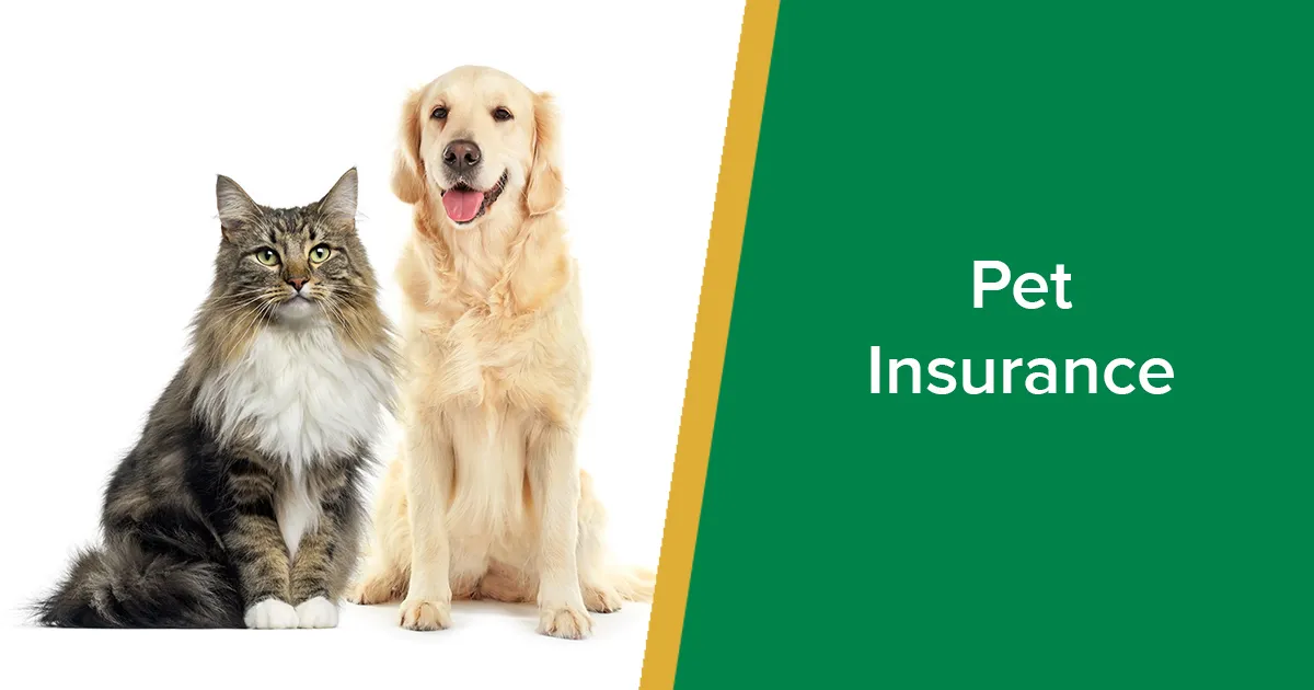 Pet-Insurance-Unleashed_A-Paw-sitive-Guide-to-Coverage-and-Costs_.webp