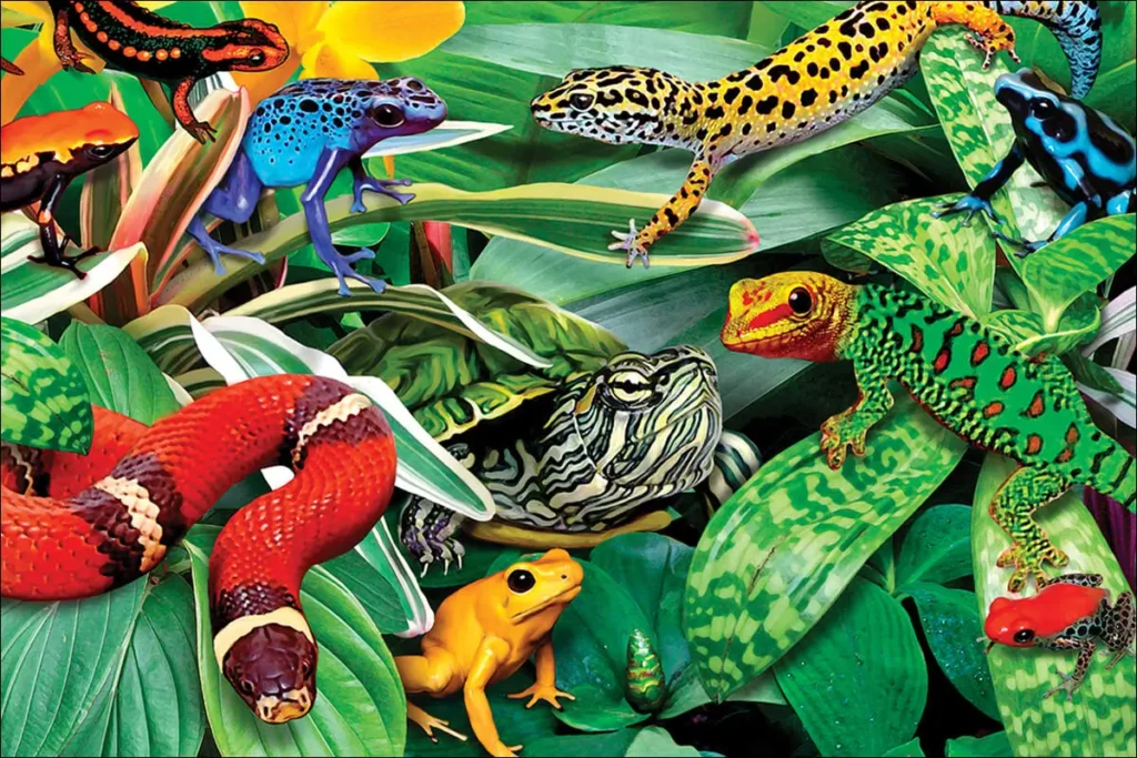 The Best Exotic Pet Insurance Options 2024