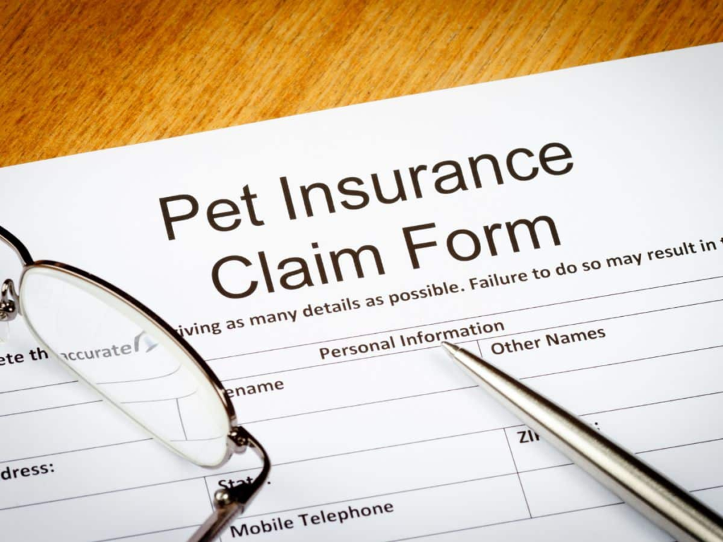 How to File a Pet Insurance Claim_petsinsurances.net
