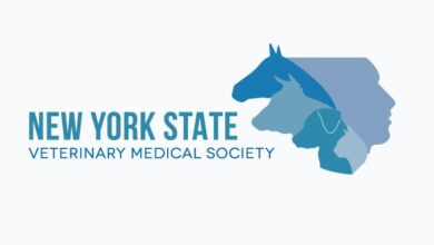 The Emergence of a Regulatory Framework for Pet Insurance in New York.JPG