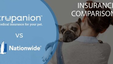 Trupanion-vs.-Nationwide_-Which-Pet-Insurance-is-Right-for-You.jpg