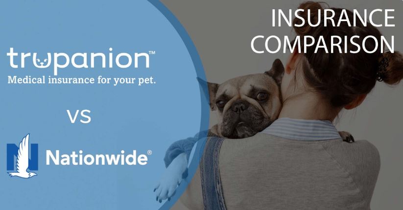 Trupanion-vs.-Nationwide_-Which-Pet-Insurance-is-Right-for-You.jpg