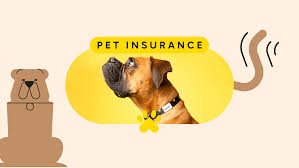 The Emergence of a Regulatory Framework for Pet Insurance in New York