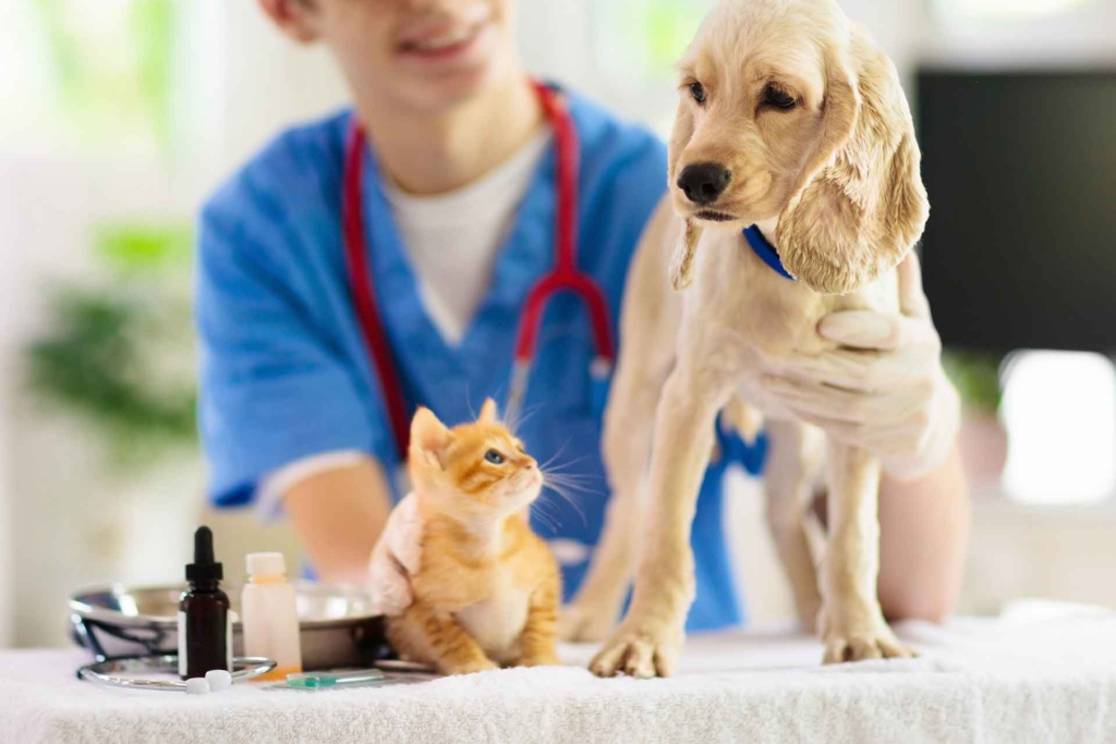 The Comprehensive Guide to Pet Owners' Veterinary Expenses