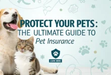 Is Pet Insurance Worth It? A Comprehensive Guide