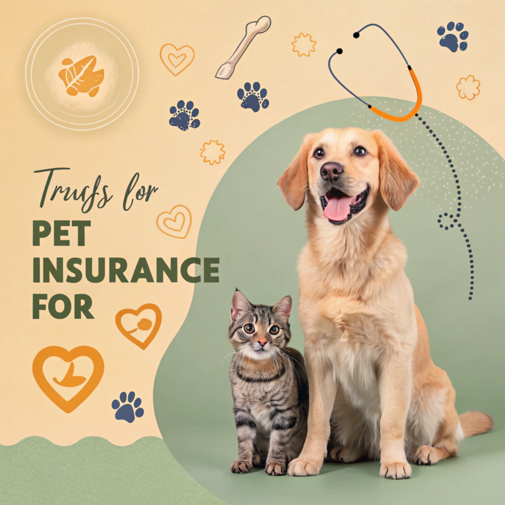 Is Pet Insurance Worth It? A Comprehensive Guide